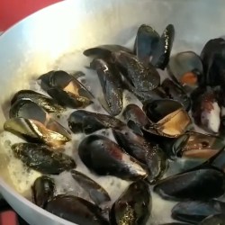 Alessandra Ferramosca