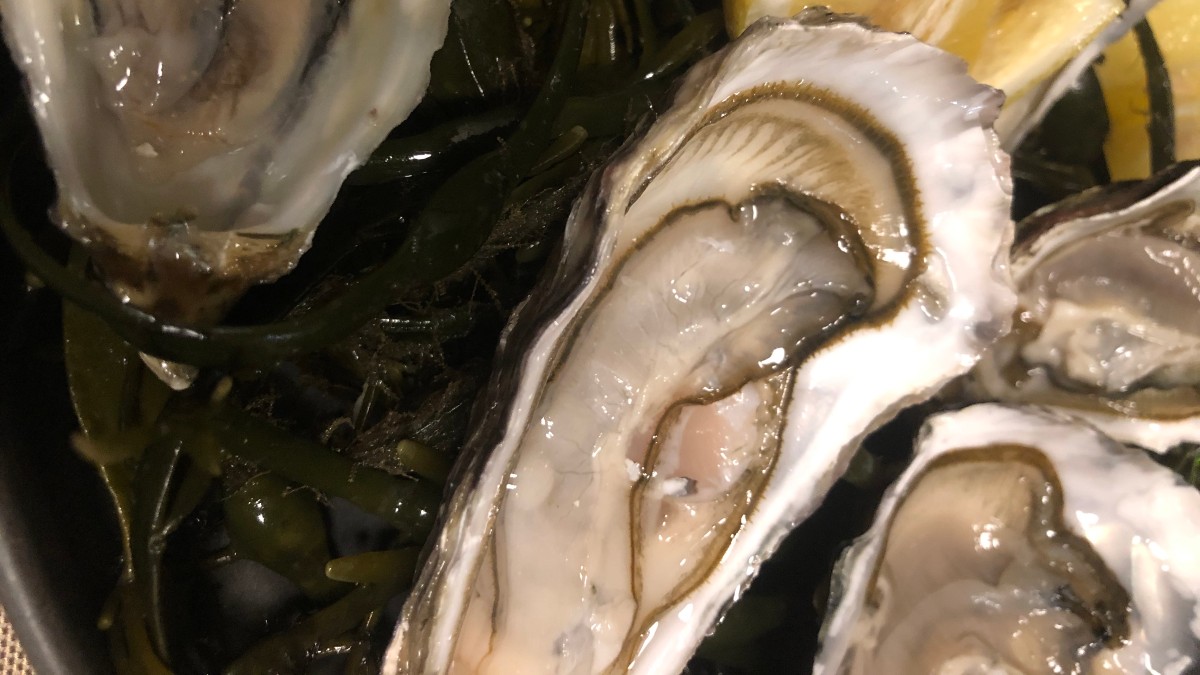 Ne usciremo migliori