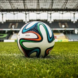 L'allenatore nel pallone