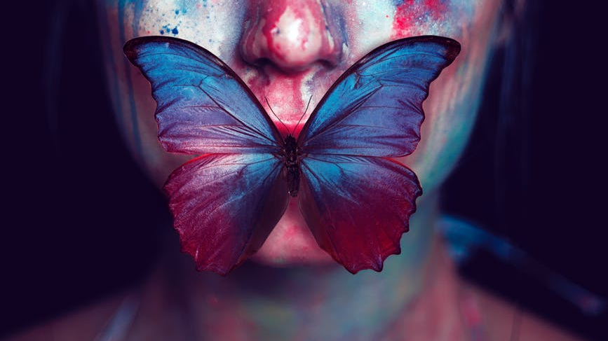 Il silenzio degli innocenti