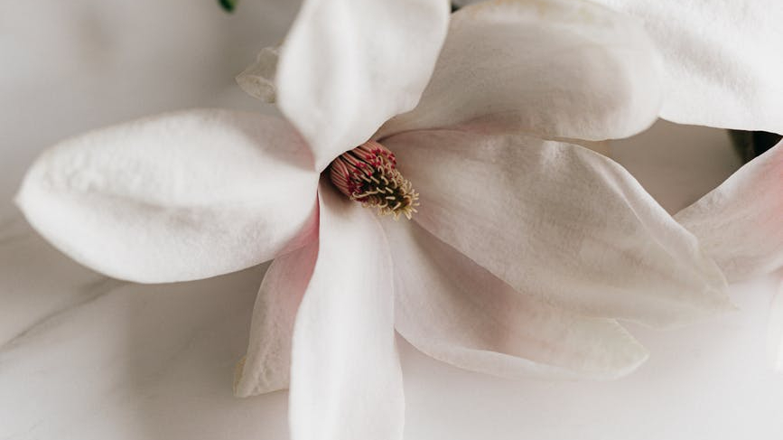 Philip Seymour Hoffman