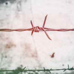 Giorno della Memoria