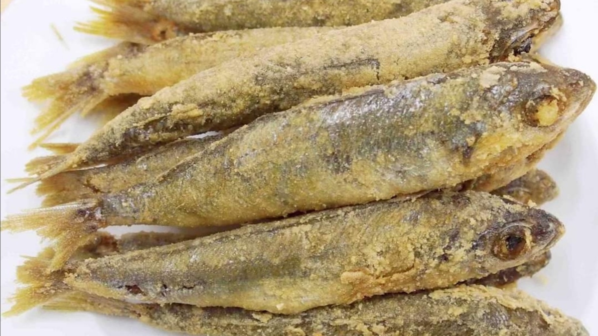 Tavole di San Giuseppe