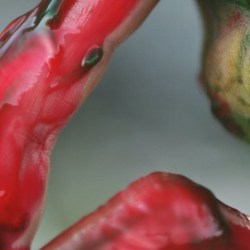 La casa dalle finestre che ridono