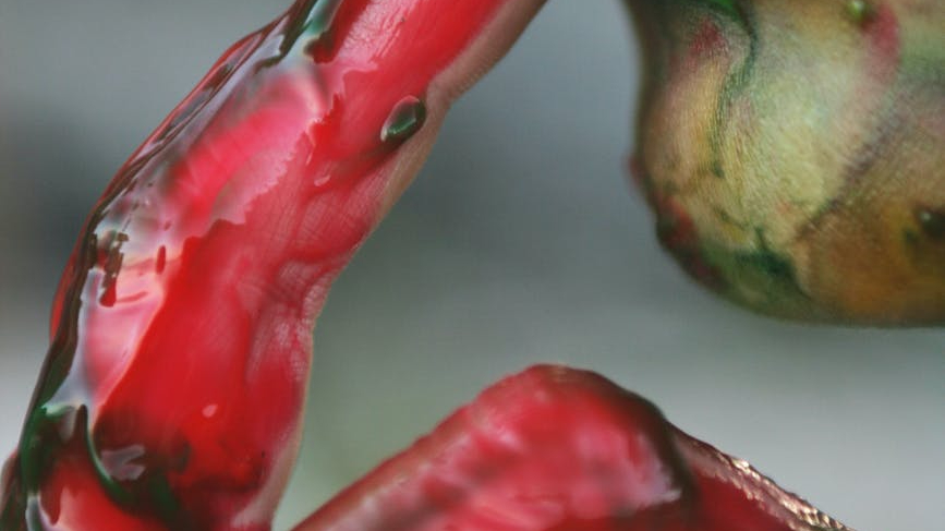 La casa dalle finestre che ridono