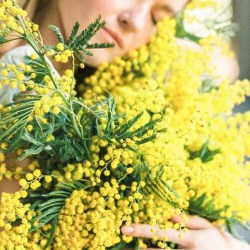 Giornata internazionale della Donna