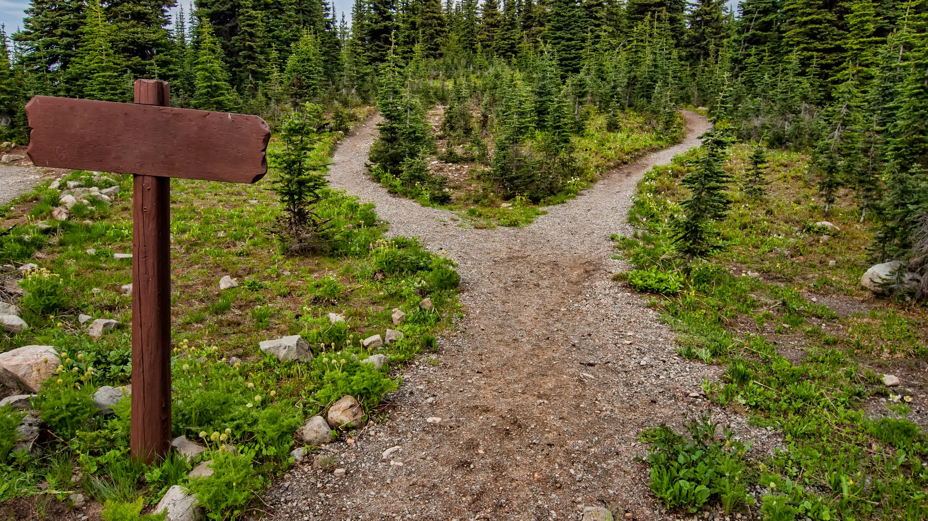 Il viaggio dell'eroe