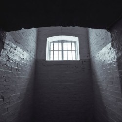 Le ali della libertà